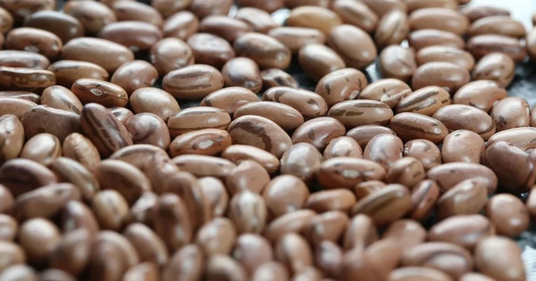 Feijão e outras leguminosas contribuem para a saúde cardiovascular, diz estudo; saiba como
