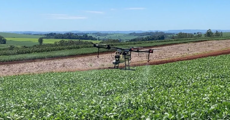 Tarifaço: Ministério do Desenvolvimento Agrário sugere ao governo compra de produtos que não serão exportados