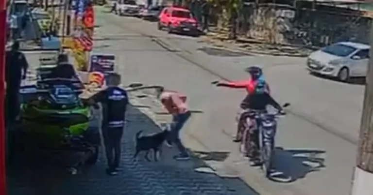 Vídeo: Cachorro impede tentativa de assalto no litoral de SP