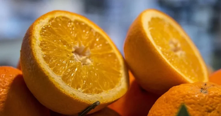 Setor do suco de laranja pode ter prejuízo de R$ 1,5 bilhão mesmo fora da tarifa