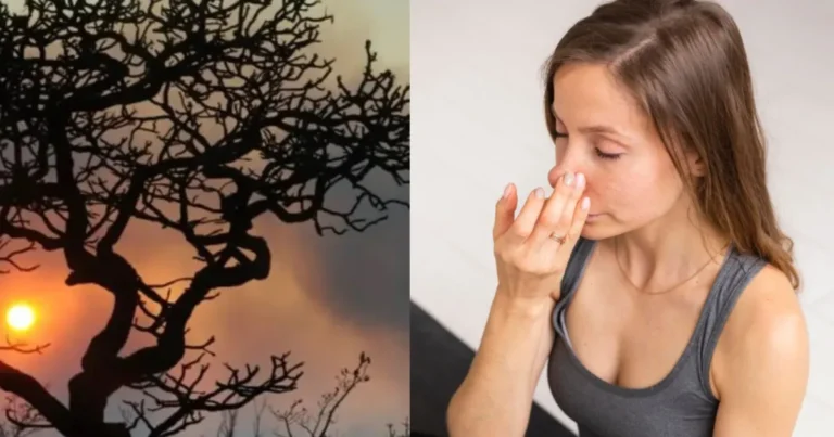 Como cuidar da saúde respiratória em casa durante tempo de ar seco e queimadas