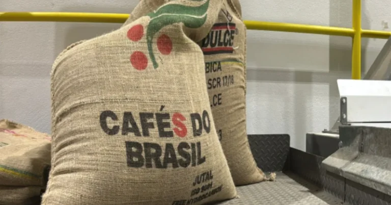 Exportadores de café têm prejuízo de R$ 5,9 milhões com carga não embarcada em agosto