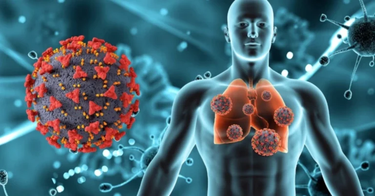 Tolerância imunológica periférica: entenda como o corpo controla o sistema imunológico
